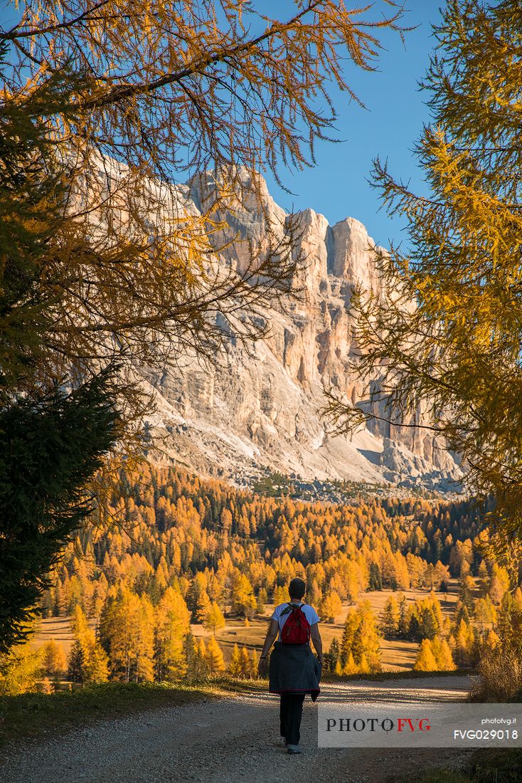 Autumnal hiking in the Armentara meadows, Fanes Senes Braies natural park, Val Badia valley, Trentino Alto Adige, Italy