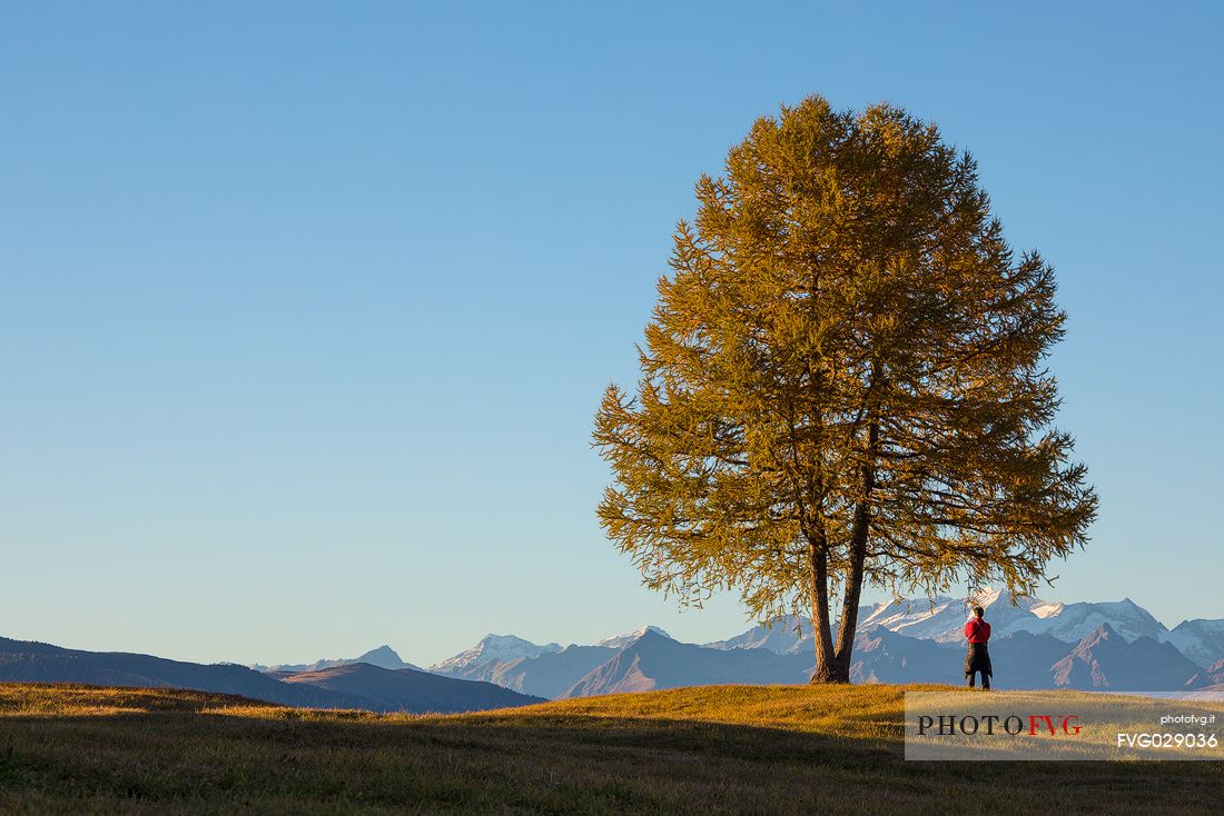 Tourist admires the panoramic view from  the Armentara meadows, Fanes Senes Braies natural park, Val Badia, Trentino Alto Adige, Italy