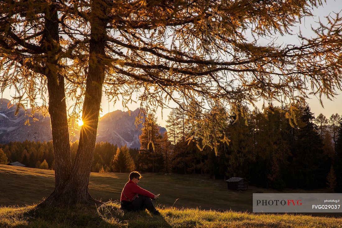 Tourist relaxes under an autumnal larch in the Armentara meadows, Fanes Senes Braies natural park, Val Badia, Trentino Alto Adige, Italy