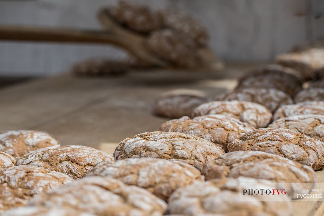 Freshly baked rye bread during the bread and strudel festival in Duomo square in Bressanone, Alto Adige, Italy, Europe