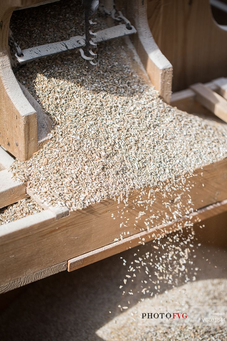 Grain sieve at the traditional festival of bread and strudel in Bressanone, Isarco valley, Trentino Alto Adige, Italy, Europe