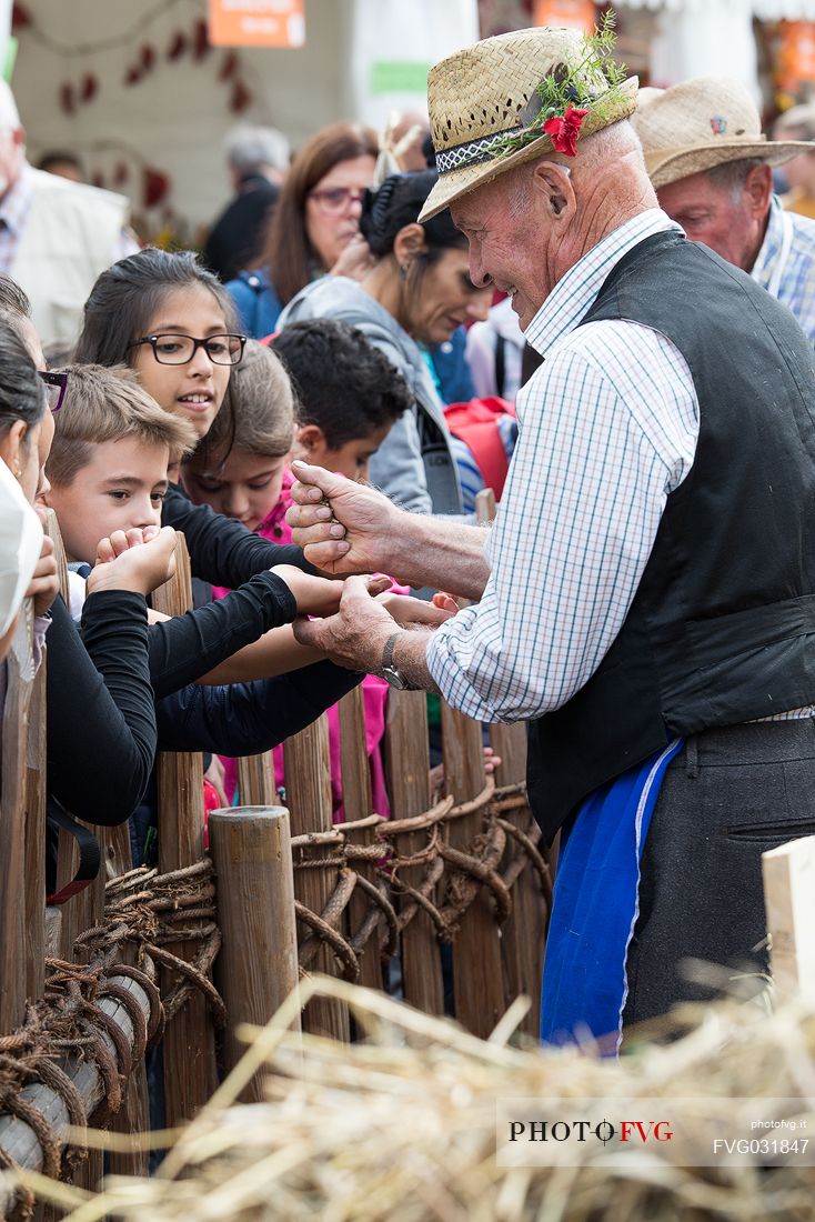 The farmer distributes wheat to the children during the traditional festival of bread and strudel in Bressanone, Isarco valley, Trentino Alto Adige, Italy, Europe