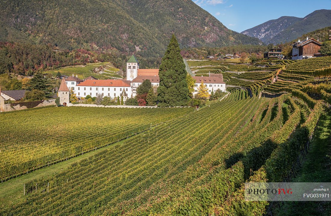 Vineyards around the Abbey of Novacella, one of the most prestigious abbeys in the Alps, Varna, Isarco valley, Trentino Alto Adige, Italy, Europe