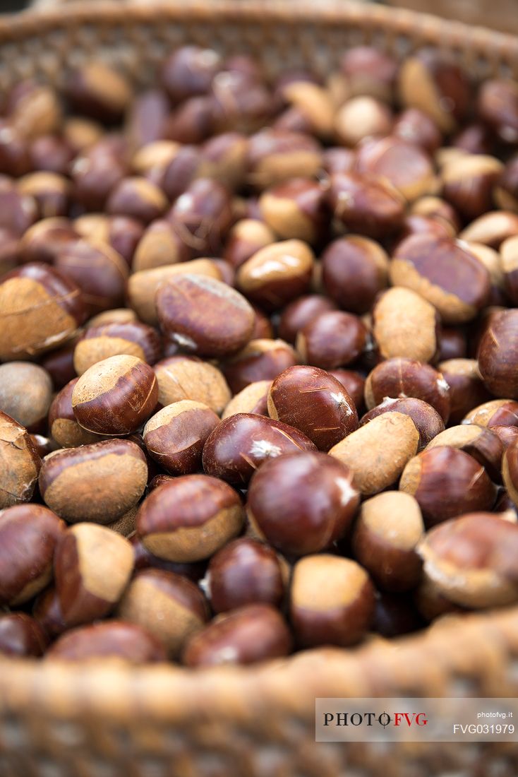 Basket of chestnuts at the Chestnut Festival, Torgellen in Chiusa, Valle Isarco, Trenino Alto Adige, Italy, Europe