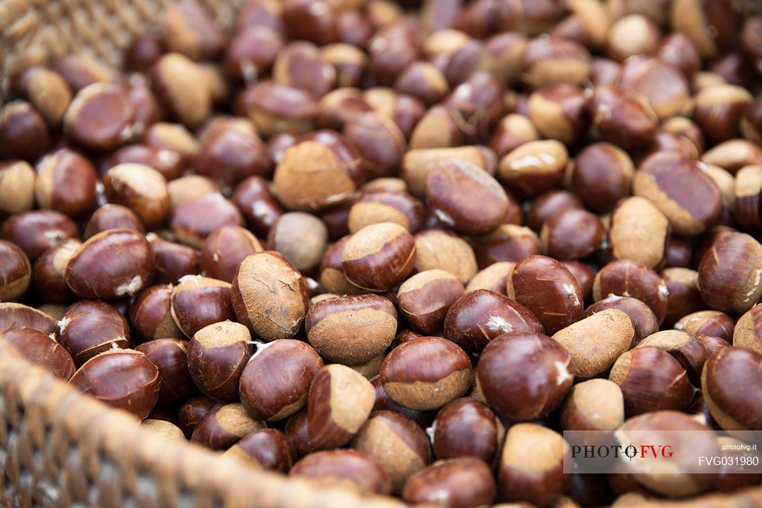 Basket of chestnuts at the Chestnut Festival, Torgellen in Chiusa, Valle Isarco, Trenino Alto Adige, Italy, Europe