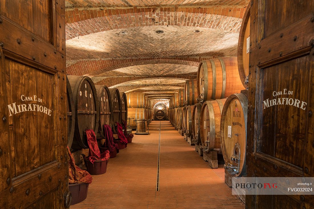 The historic wine cellar of Casa E. di Mirafiore e Fontanafredda in Serralunga d'Alba, Langhe, Piedmont, Italy, Europe