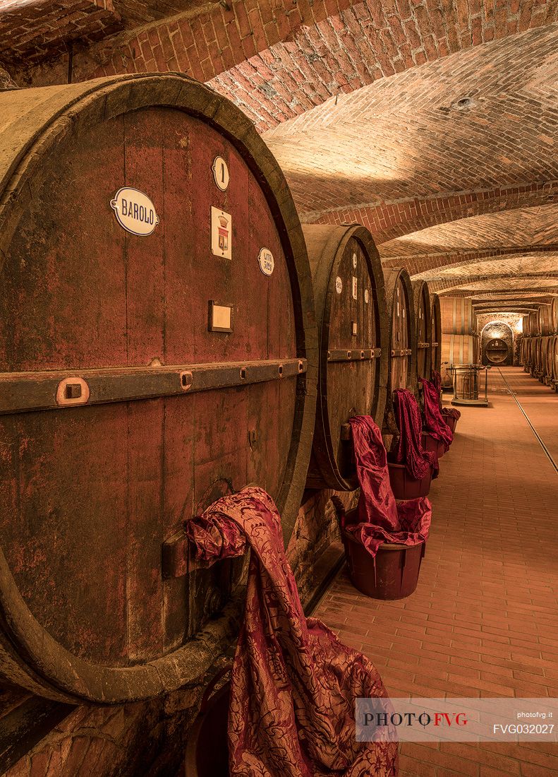 Detail of historic wine cellar of Casa E. di Mirafiore e Fontanafredda in Serralunga d'Alba, Langhe, Piedmont, Italy, Europe