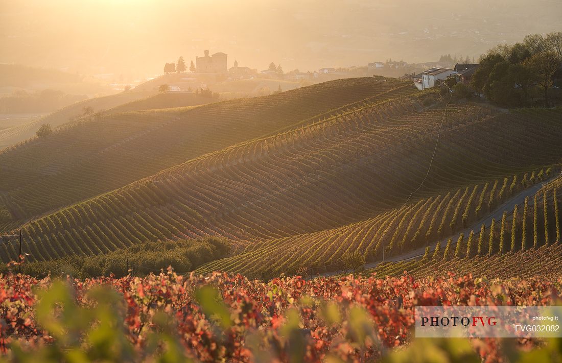 The vast expanses of vineyards of the Langhe in autumn, in the background the castle of Grinzane Cavour, Unesco World Heritage, Piedmont, Italy, Europe