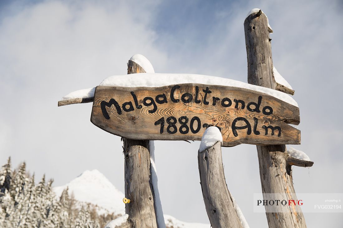 Wooden sign of the Coltrondo refuge covered by snow, on background the Col Quatern, Comelico Superiore, dolomites,Veneto, Italy, Europe