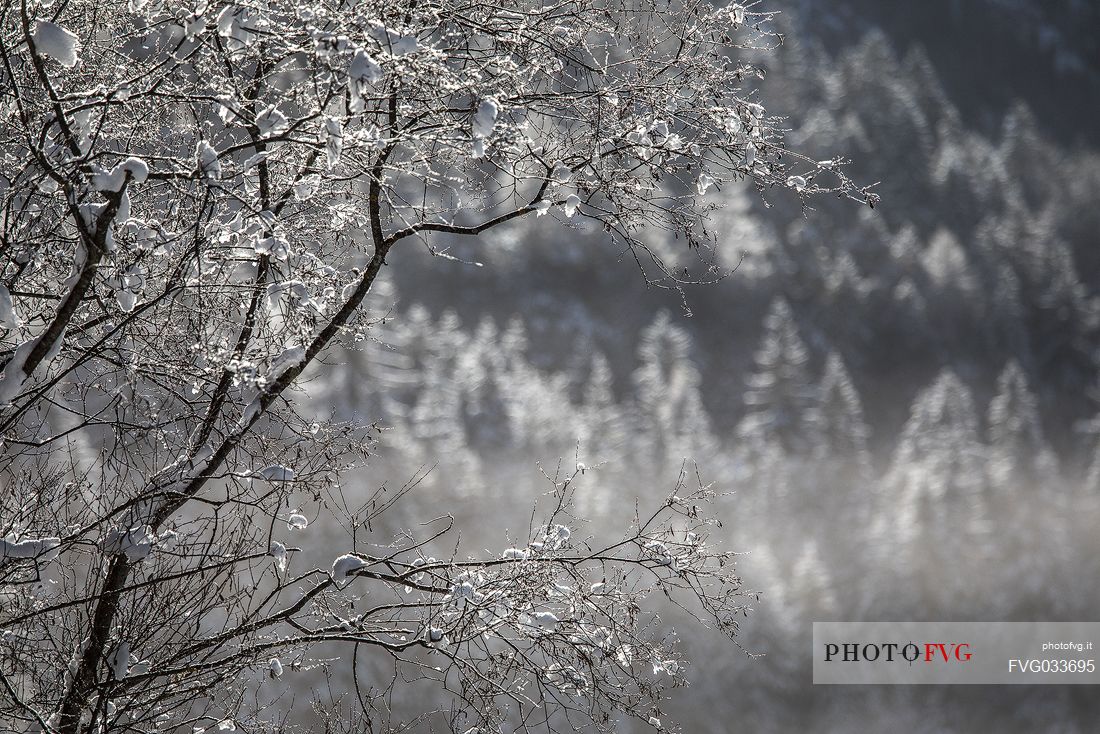 Winter atmosphere on the Dobbiaco lake, Pusteria valley, dolomites, Trentino Alto Adige, Italy