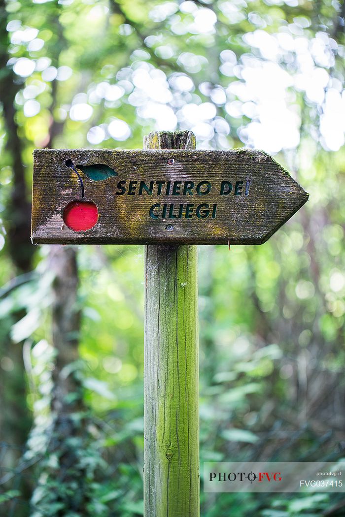 Road sign of Sentiero dei Ciliegi, a path between the cherry trees near Marostica, Vicenza, Veneto, Italy