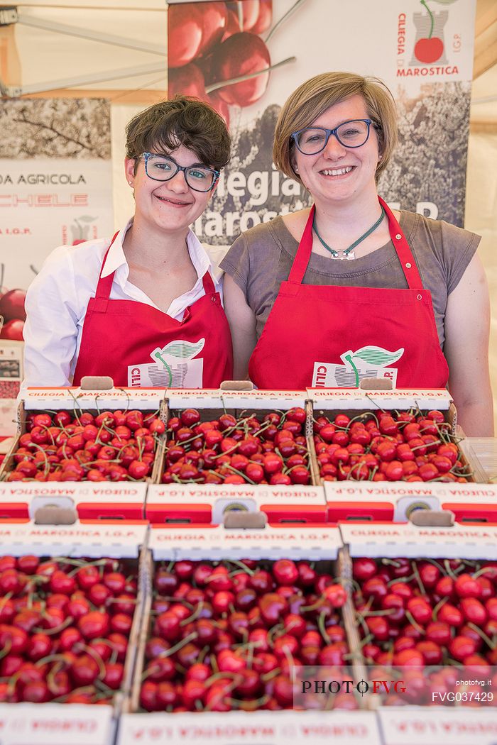 Display of cherry boxes at a stand on the Marostica cherry festival, Marostica, Vicenza, Veneto, Italy