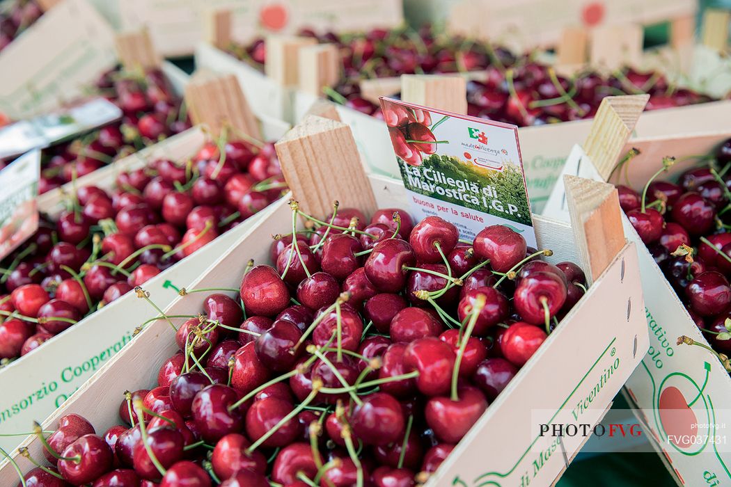 Display of cherry boxes on the Marostica cherry festival, Marostica, Vicenza, Veneto, Italy