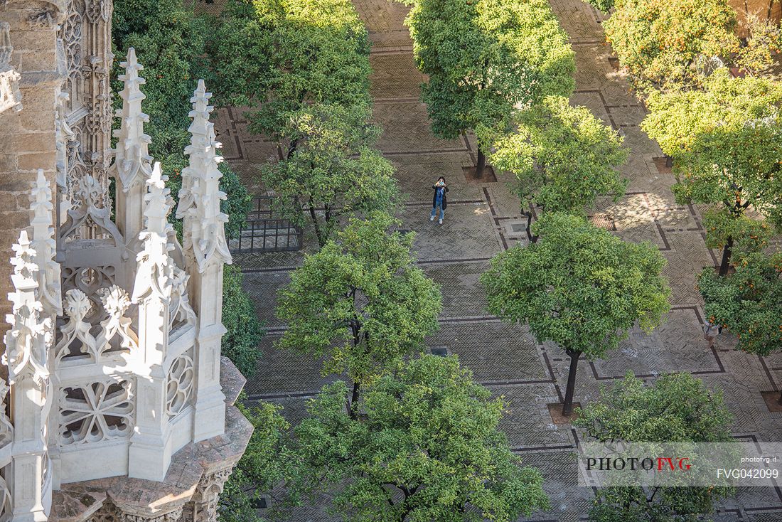 Patio de los Naranjos, the park of the cathedral of Seville or Church of Santa Maria della Sede from the Giralda tower, Seville, Spain, Europe