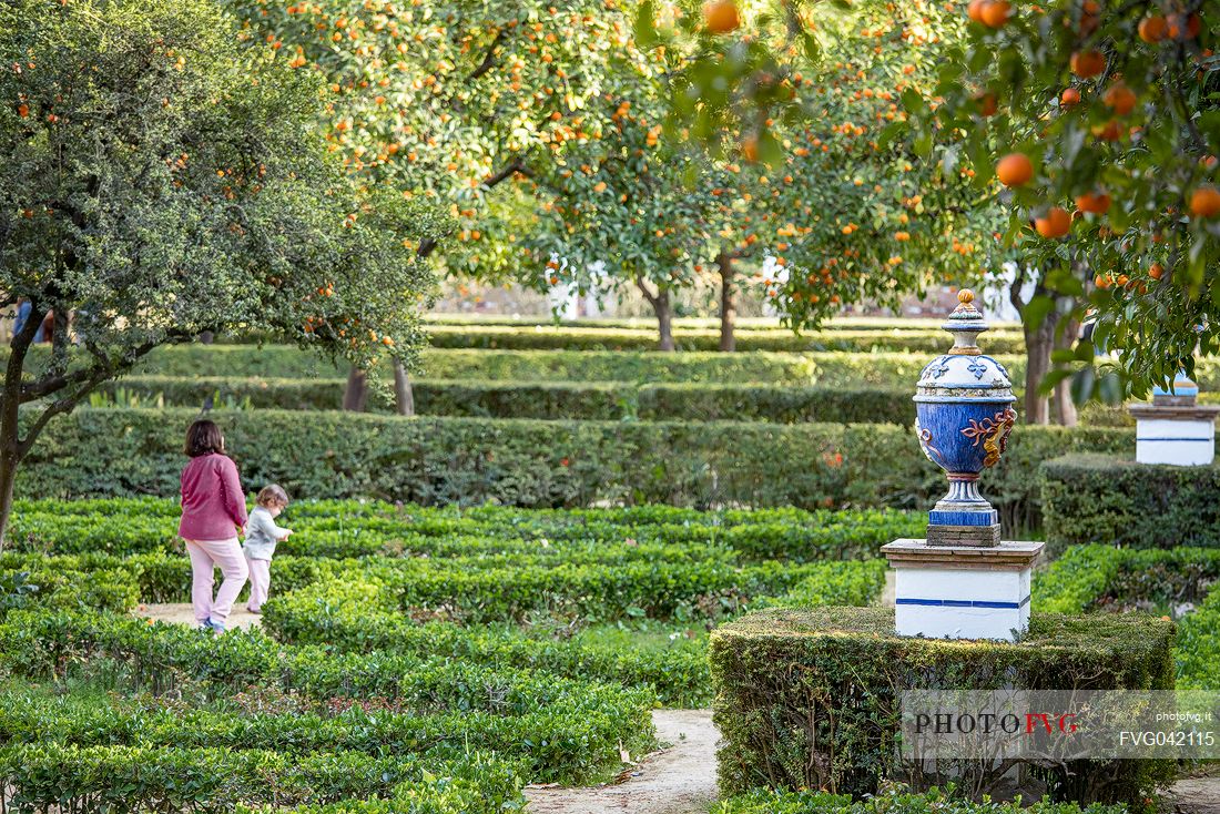 Maria Luisa park gardens (Parque de Maria Luisa), Seville's public garden,  Seville, Spain, Europe