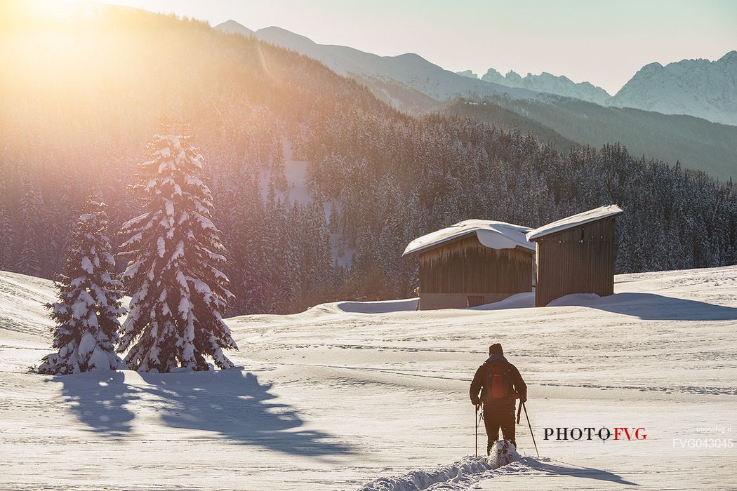 Hiker with the snowshoes at the first light of dawn, on background the Comelico mountains, Pusteria valley, dolomites, Trentino Alto Adige, Italy, Europe