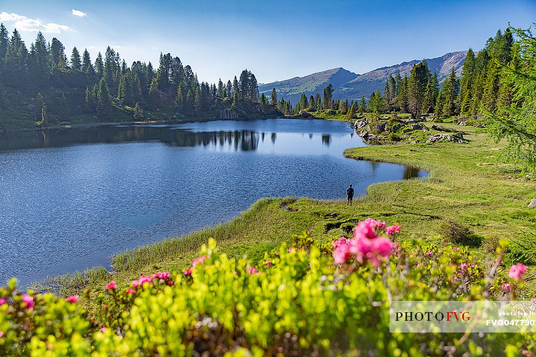 Hiker in front of Colbricon lake, San Martino di Castrozza, Trentino Alto Adige, Italy