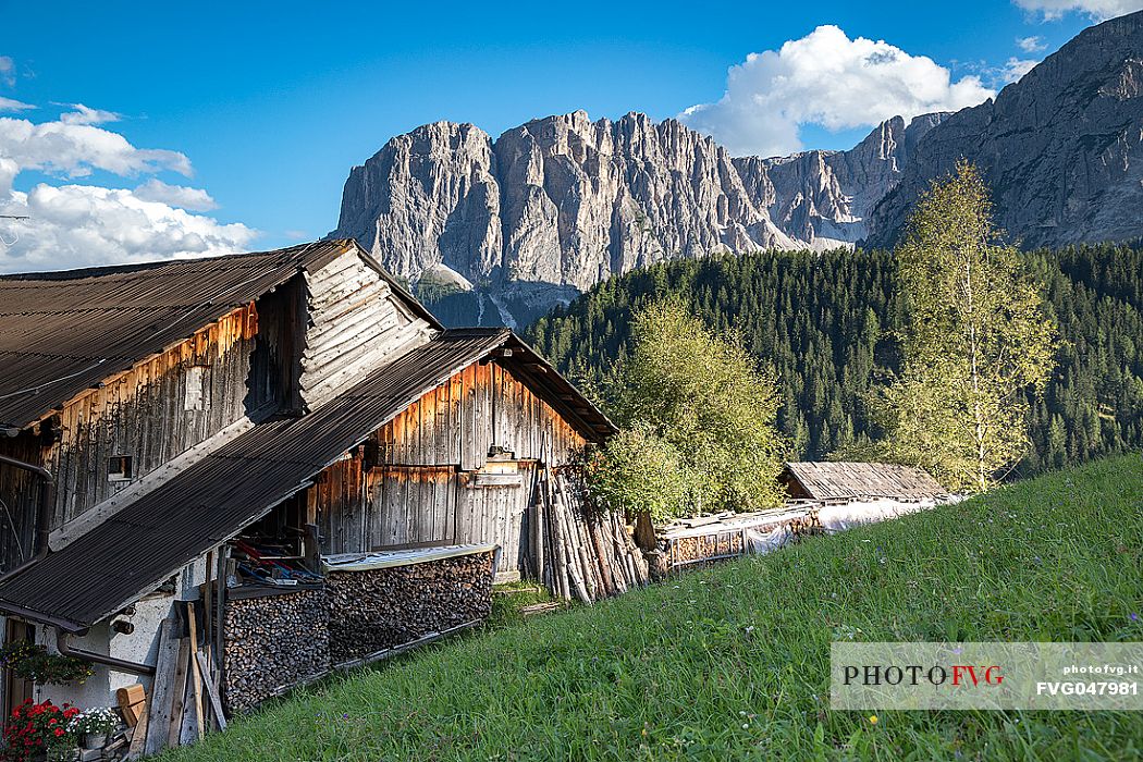 Wooden house in the rural village of Longiaru in San Martino in Badia, Badia valley, dolomites, Trenino Alto Adige, Italy, Europe