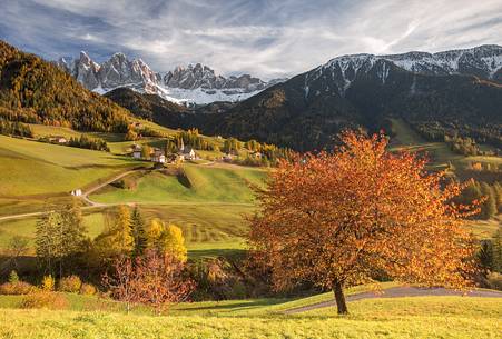 The beautiful view of the Funes valley with the red cherry, the Santa Maddalena church and the Odle on background 