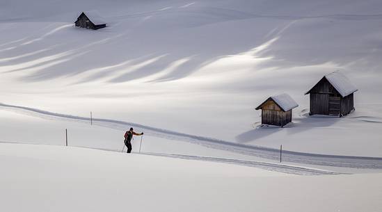 Skier lonely surrounded by snowy landscape of Prato Piazza, Braies