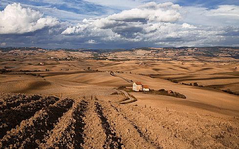 The expanses of field of Val D'Orcia