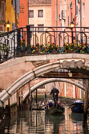 The gondolier paddling among the colorful houses under the venetian bridges 