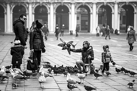 Tourists play with pigeons in St Mark square in Venice 