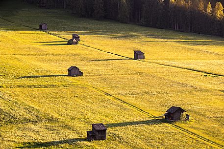 Meadows of Sesto in the Pusteria Valley, dolomites, Italy