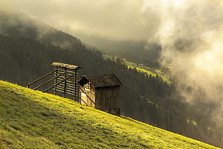 Barn and arfa on meadow of Sesto, Pusteria valley, Italy