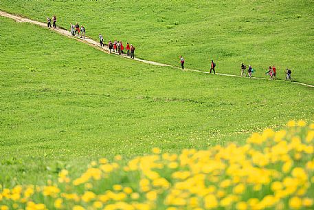 Hikers on the meadows of Croda Rossa - Sesto