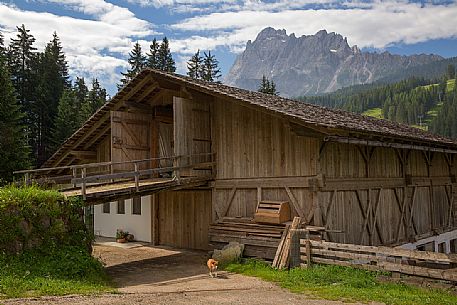 Maso Unteroltlhof for the production of goat cheese; in the background the Croda Rossa Maso Unteroltlhof for the production of goat cheese; in the background the Croda Rossa