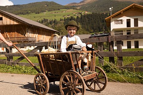 Return of the cattle and party for transhumance in Sesto Return of the cattle and party for transhumance in Sesto