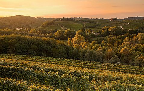 The hills and the vineyards of Collio in Gorizia at sunset