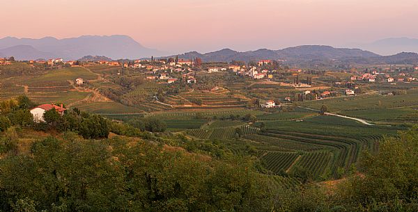 The hills and the vineyards of Collio from Gorizia to Slovenia  at sunset