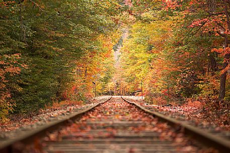 Autumn along the tracks that cross the  Franconia Notch State Park, New Hampshire, United States of America