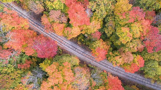 Autumn along the tracks that cross the  Franconia Notch State Park, New Hampshire, United States of America