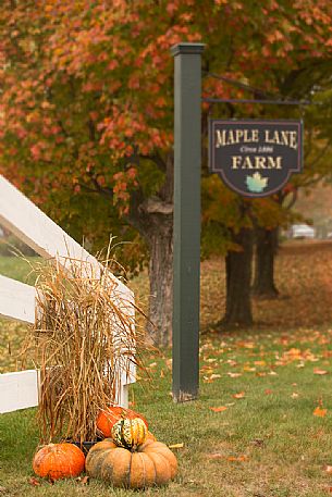 Halloween atmosphere along the streets of Vermont, New Engand, USA