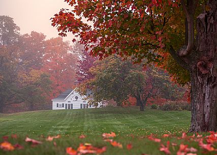 Foliage in the countryside of Woodstock, Vermont, USA