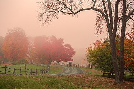 An autumn foggy morning  in the countryside of Woodstock, Vermont, USA