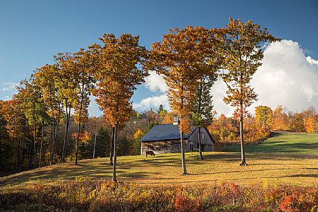 A little farm in the Vermont countryside, New England, USA