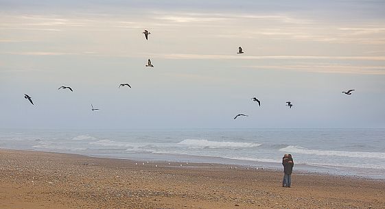 Romantic scene on  the beach of the Cape Cod national Seashore, Nauset light Beach, New Englad, USA