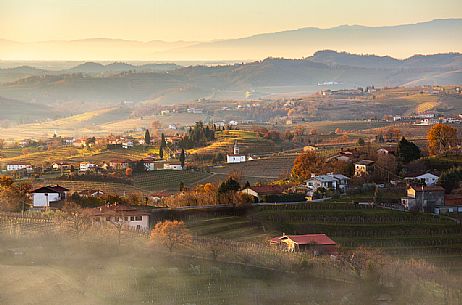 Slovenia Collio in the Brda region at sunset, Slovenia, Europe