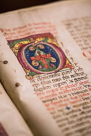 The Guarneriana Library, founded in 1466, is the oldest Friuli library and one of the first institutions of public reading in Italy. The library was created to accommodate the donation of 160 codes, humanist collection of fifteenth Guarniero D'Artegna; Today contains dozens of humanistic codes, often richly illuminated, and eighty incunabula. The Guarneriana Library, founded in 1466, is the oldest Friuli library and one of the first institutions of public reading in Italy. The library was created to accommodate the donation of 160 codes, humanist collection of fifteenth Guarniero D'Artegna; Today contains dozens of humanistic codes, often richly illuminated, and eighty incunabula.