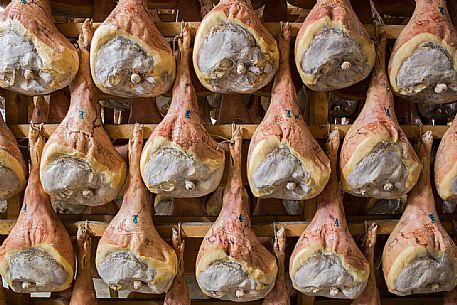 Hams of San Daniele del Friuli in seasoning at the Prolongo ham factory, Italy Hams of San Daniele del Friuli in seasoning at the Prolongo ham factory, Italy