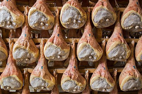 Hams of San Daniele del Friuli in seasoning at the Prolongo ham factory, Italy