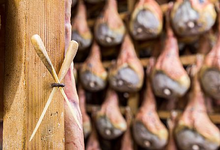 Hams of San Daniele del Friuli in seasoning at the Prolongo ham factory, Italy