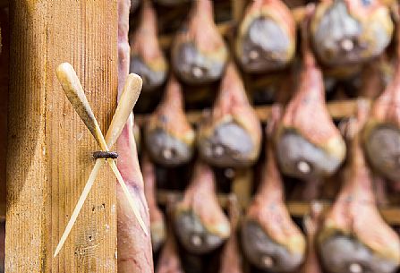 Hams of San Daniele del Friuli in seasoning at the Prolongo ham factory, Italy Hams of San Daniele del Friuli in seasoning at the Prolongo ham factory, Italy