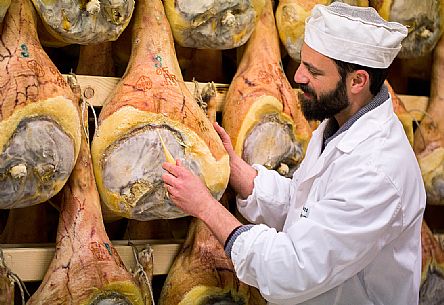 Check inside the Prolongo ham factory in San Daniele del Friuli, Italy Check inside the Prolongo ham factory in San Daniele del Friuli, Italy