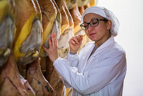 Check inside the Prolongo ham factory in San Daniele del Friuli, Italy