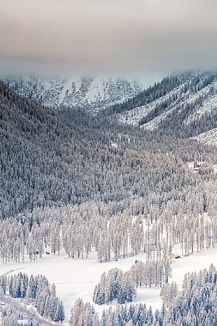 Fiscalina valley view from above after an intensive snowfall, Dolomites of Sesto Natural Park Fiscalina valley view from above after an intensive snowfall, Dolomites of Sesto Natural Park
